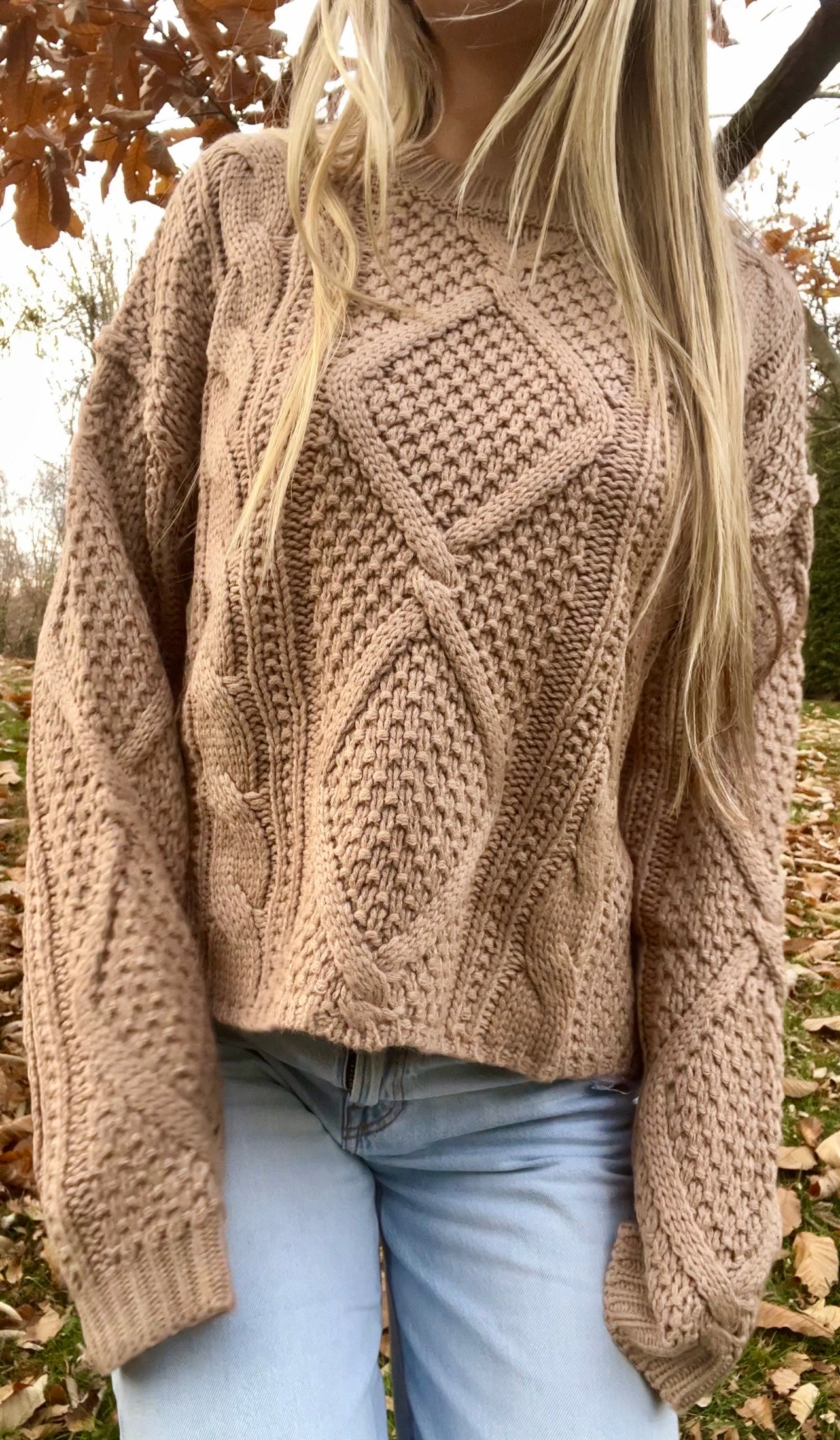 Charlotte cable knit sweater